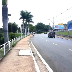 amaricana